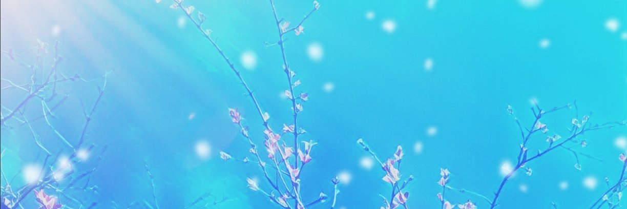 raha20012's profile banner image