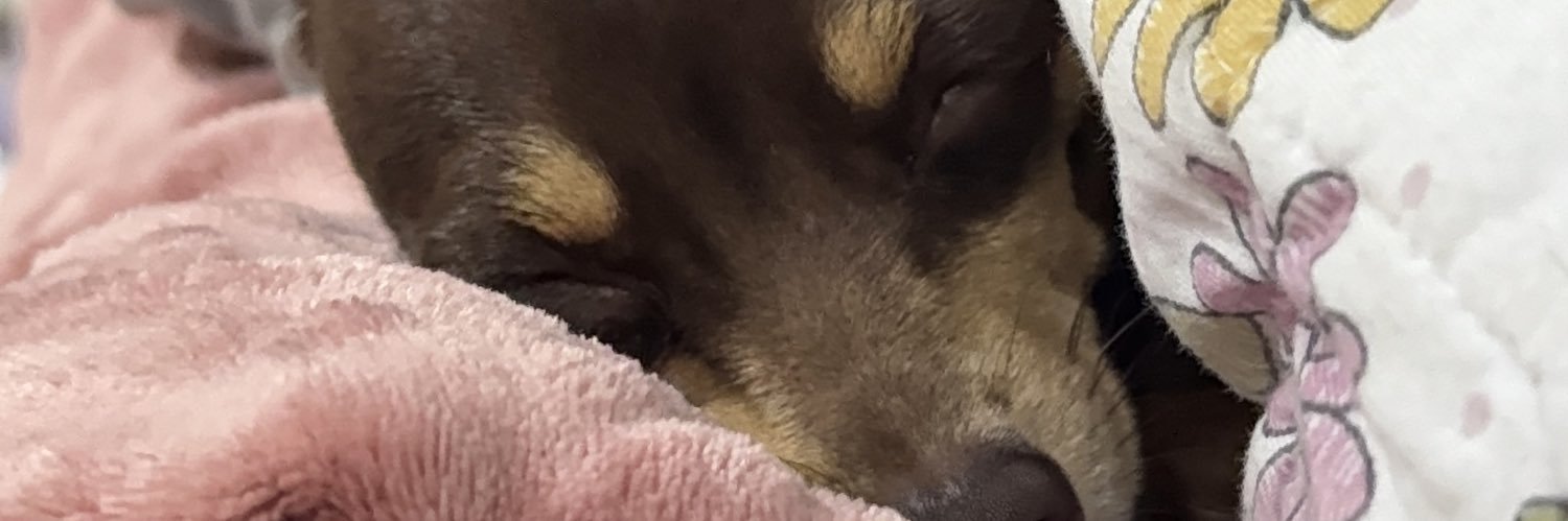 m banner
