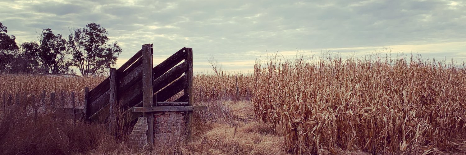 Marcos Machado banner