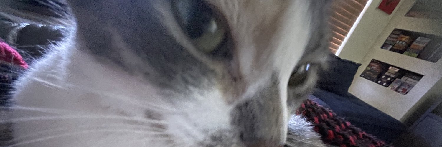 bug_eyed0's profile banner image
