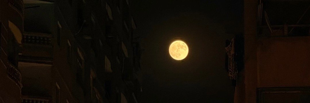 fida_sa22's profile banner image