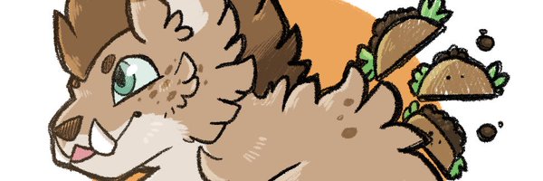 SoftTacox Profile Banner