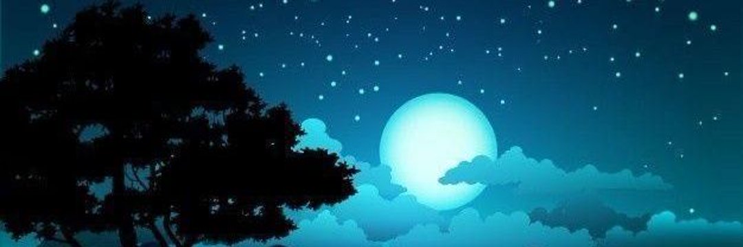 Mttf3l's profile banner image