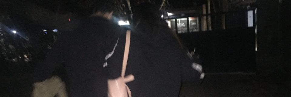 Nicodagne's profile banner image