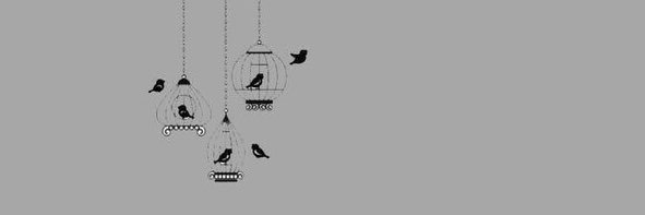 Foshi56's profile banner image