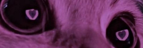 Liqu1d banner