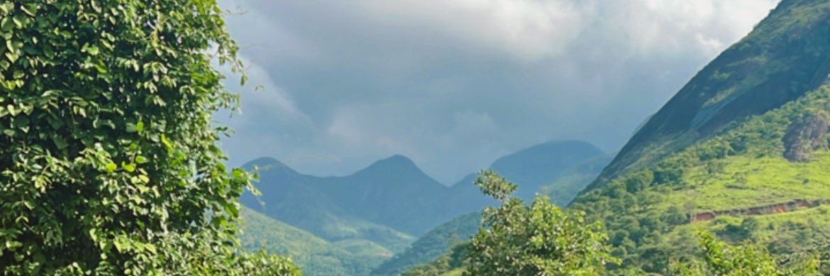 mariliama's profile banner image