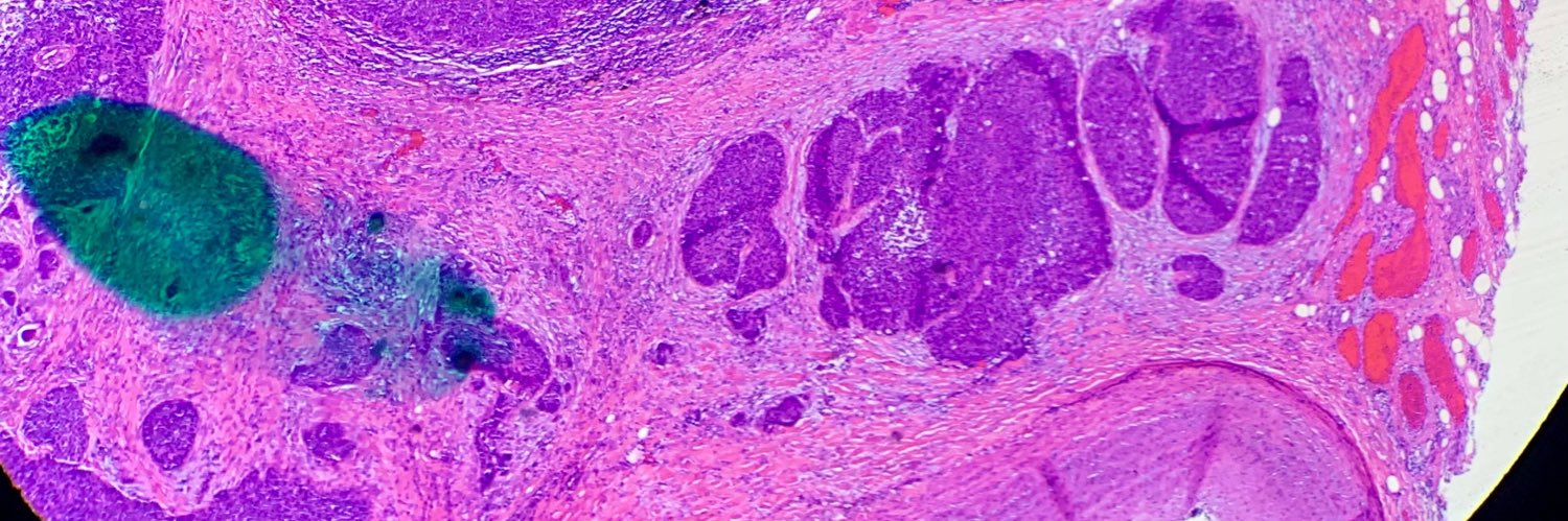 Priyanka Sachdev, MD 🇨🇦 banner