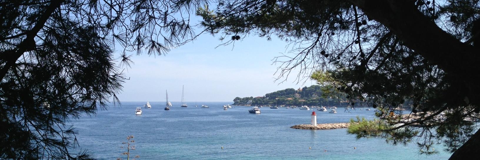 Barry Brotherton banner