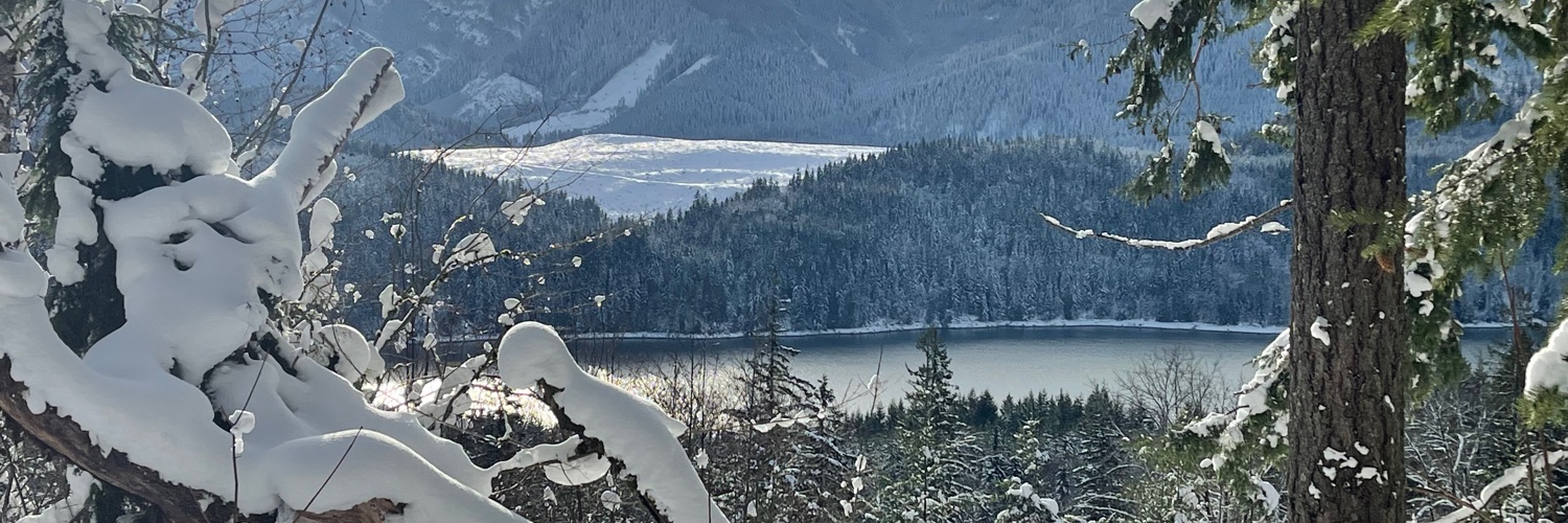 Richard Young banner