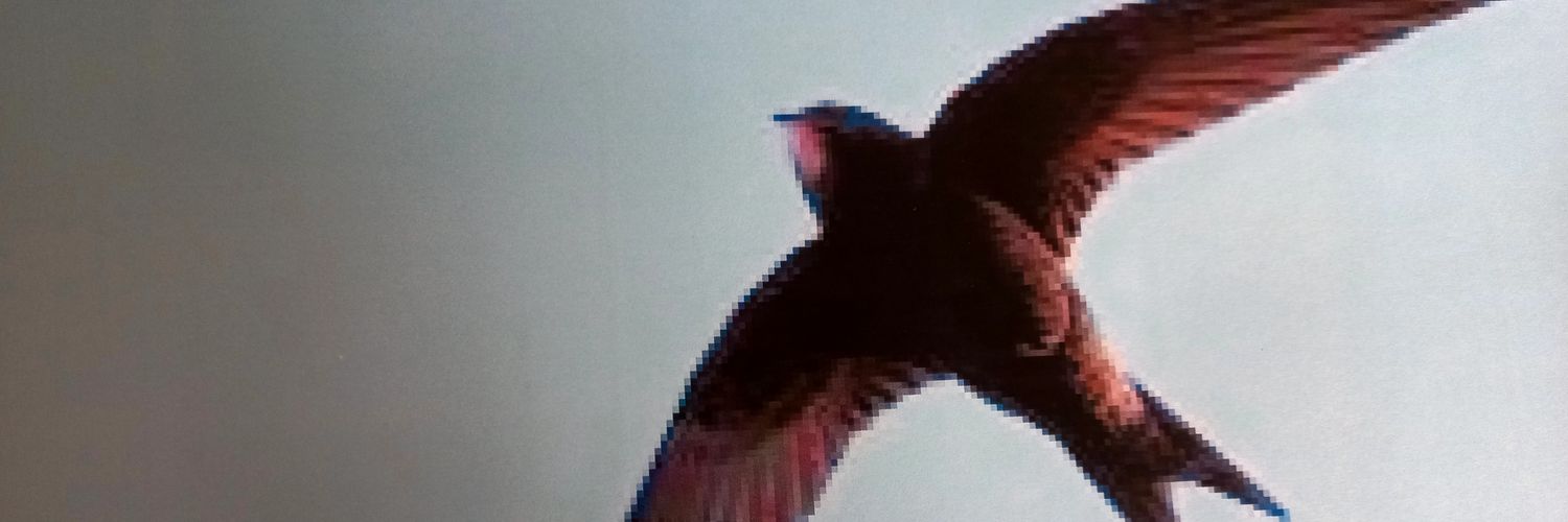 chamdaun2's profile banner image