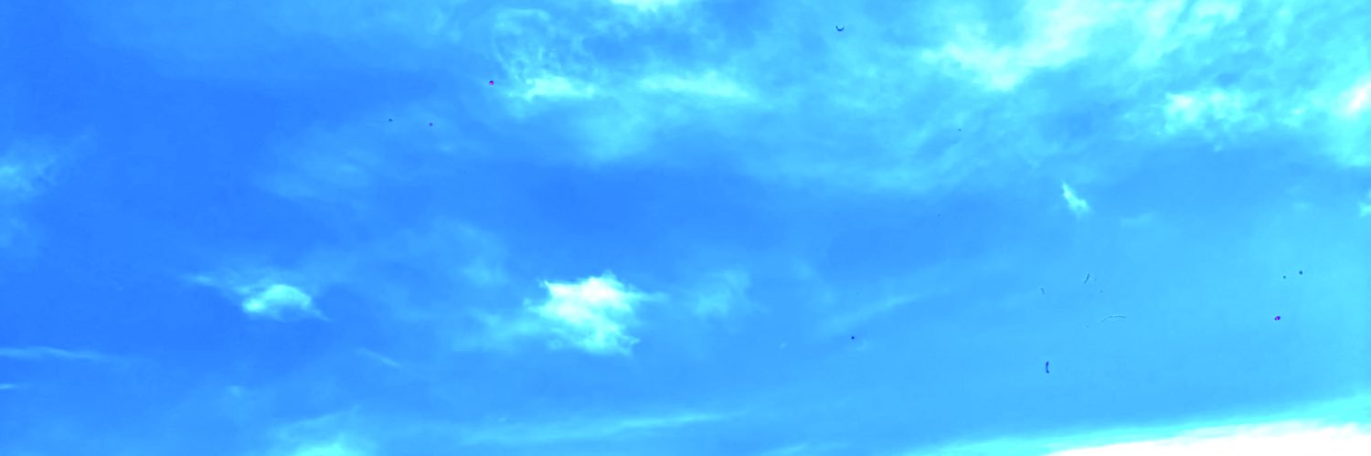 SusanaCM banner