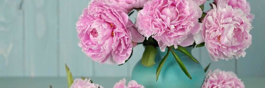Valerie banner