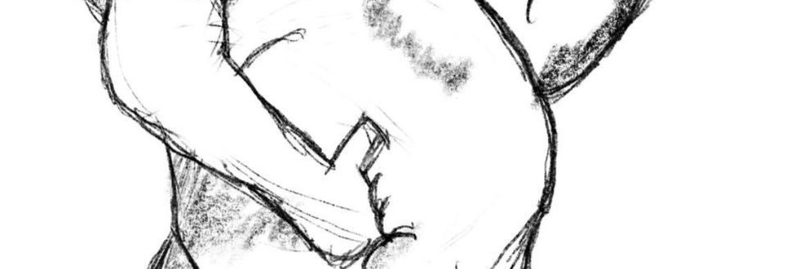 n banner