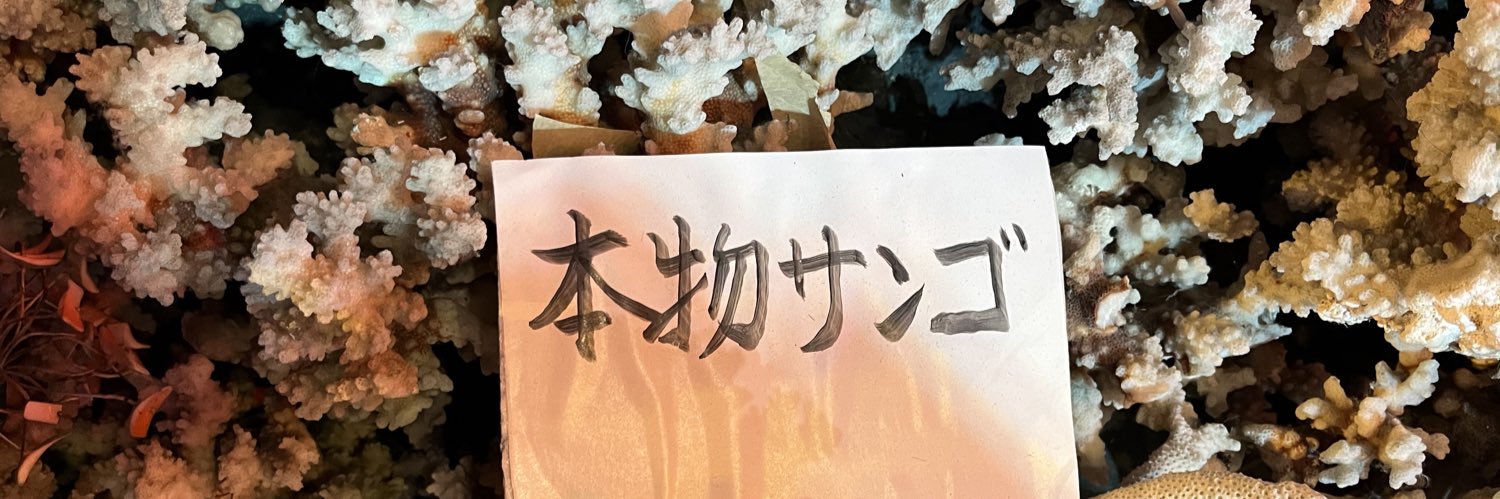 しずく banner