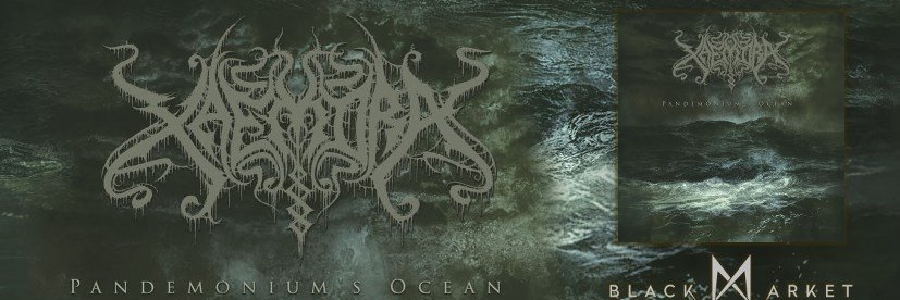 Xaemora's profile banner image