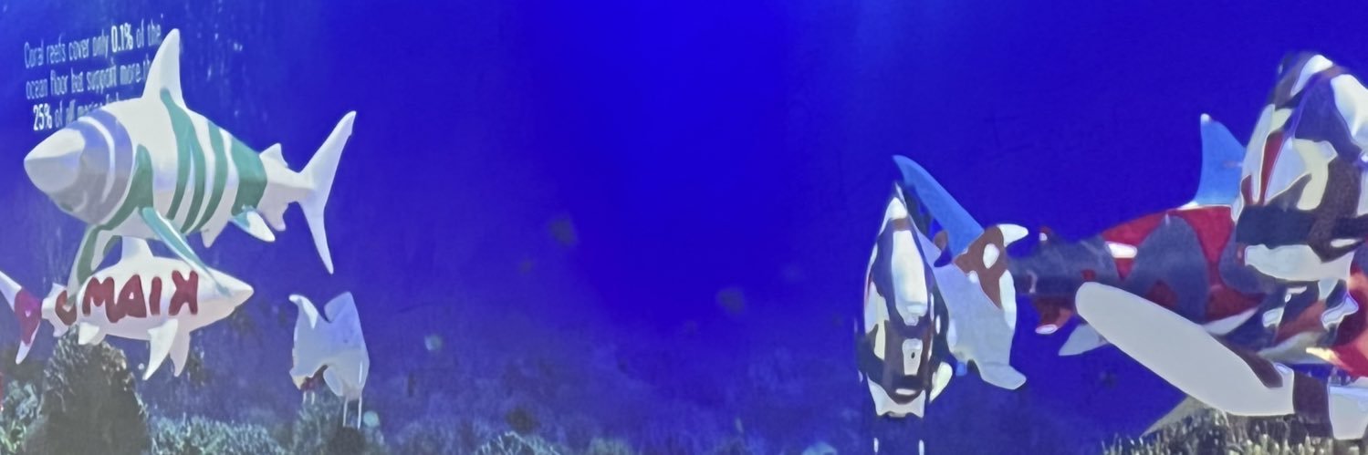 peterdiaz_'s profile banner image