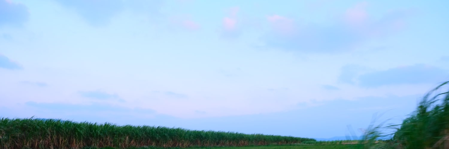 知念英和＆staff_official's banner