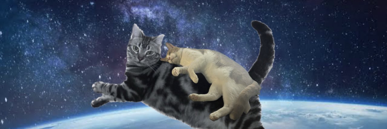 さかい banner