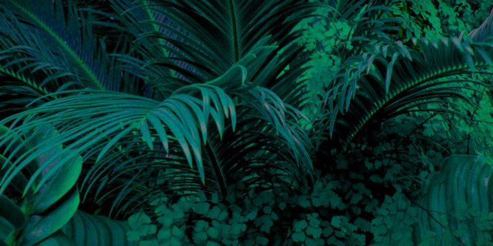 AvenueL_be's profile banner image