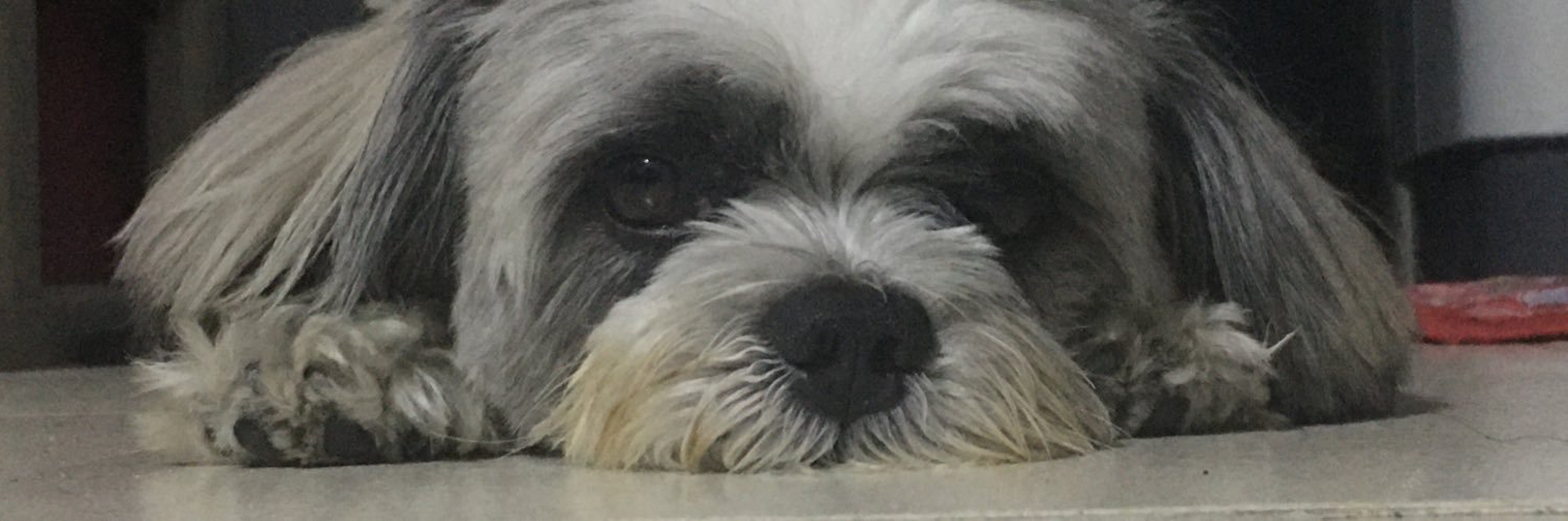 dalsidai's profile banner image