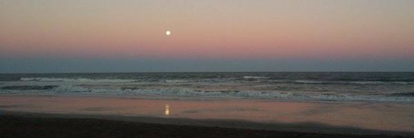 PolloArgento Profile Banner