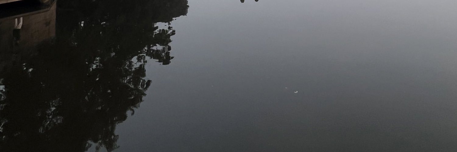 歪瑞雇德🟩 DeBox banner