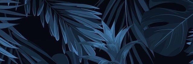 GerardoCuestas's profile banner image
