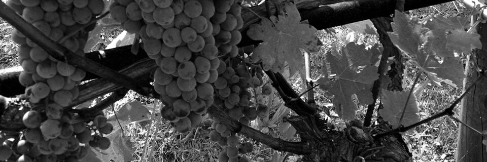 DrinksLover's profile banner image