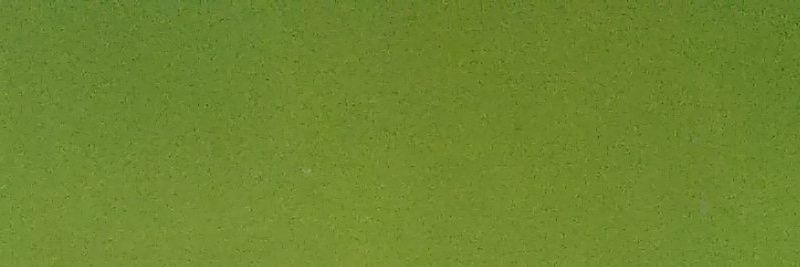 CreamP133's profile banner image