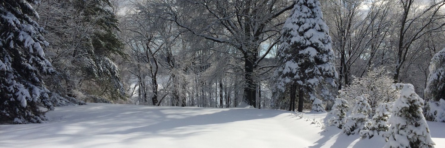 Zynlamar's profile banner image