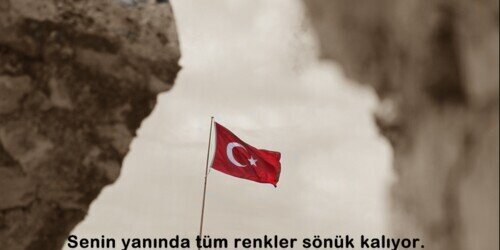 Cicekyunus88's profile banner image