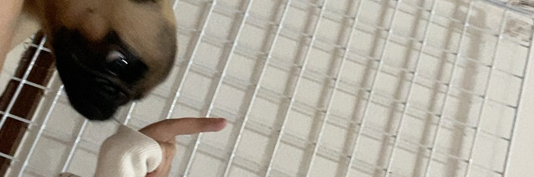 Freya_yaye's profile banner image