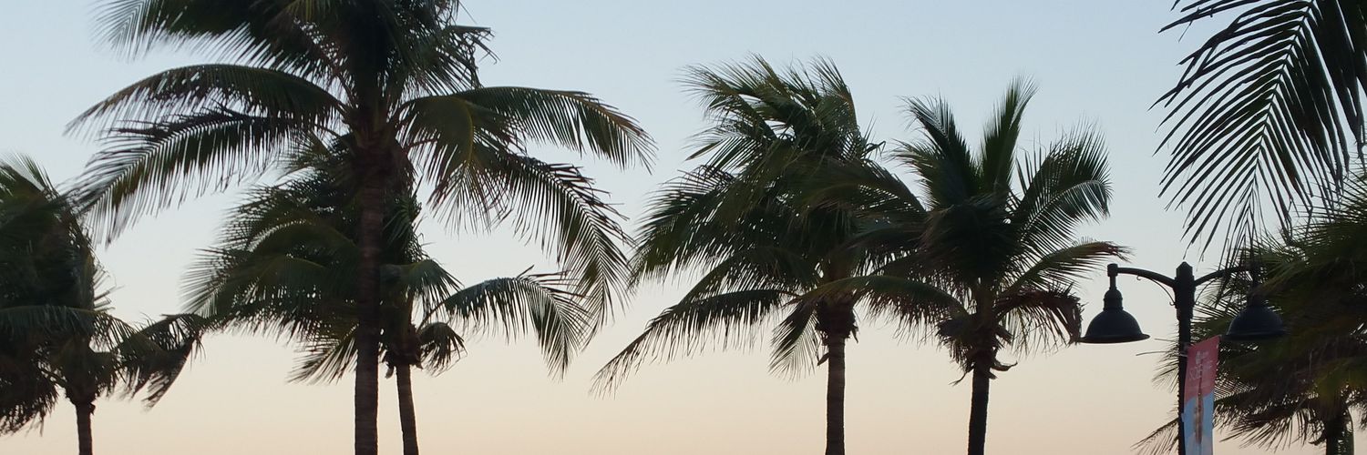 S_F_'s profile banner image