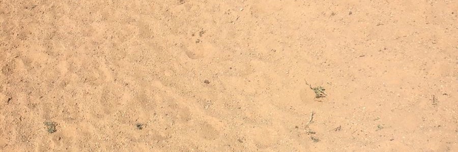 xj3h_'s profile banner image