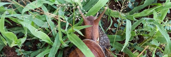 oafeisal Profile Banner