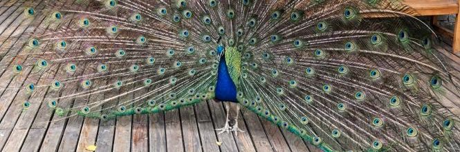 marialilav's profile banner image