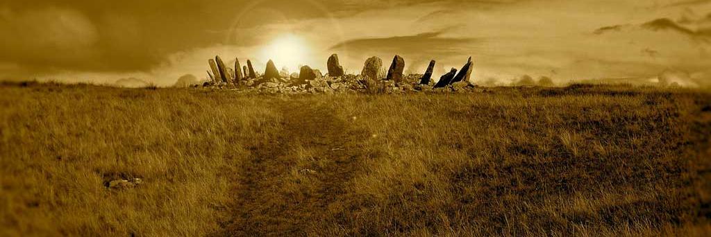 wilwilliams's profile banner image