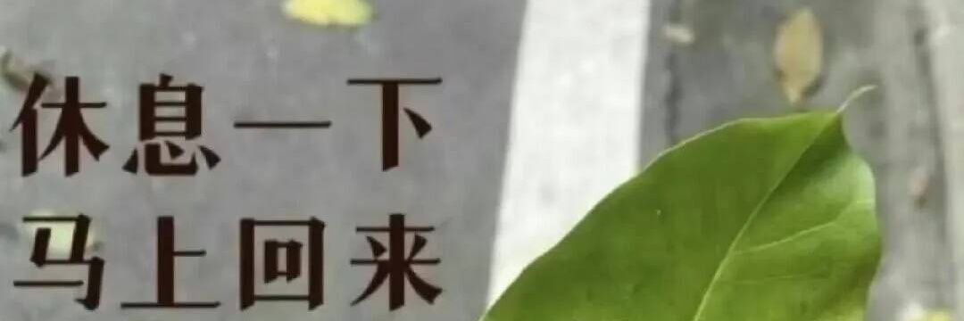 Lucky32078703's profile banner image