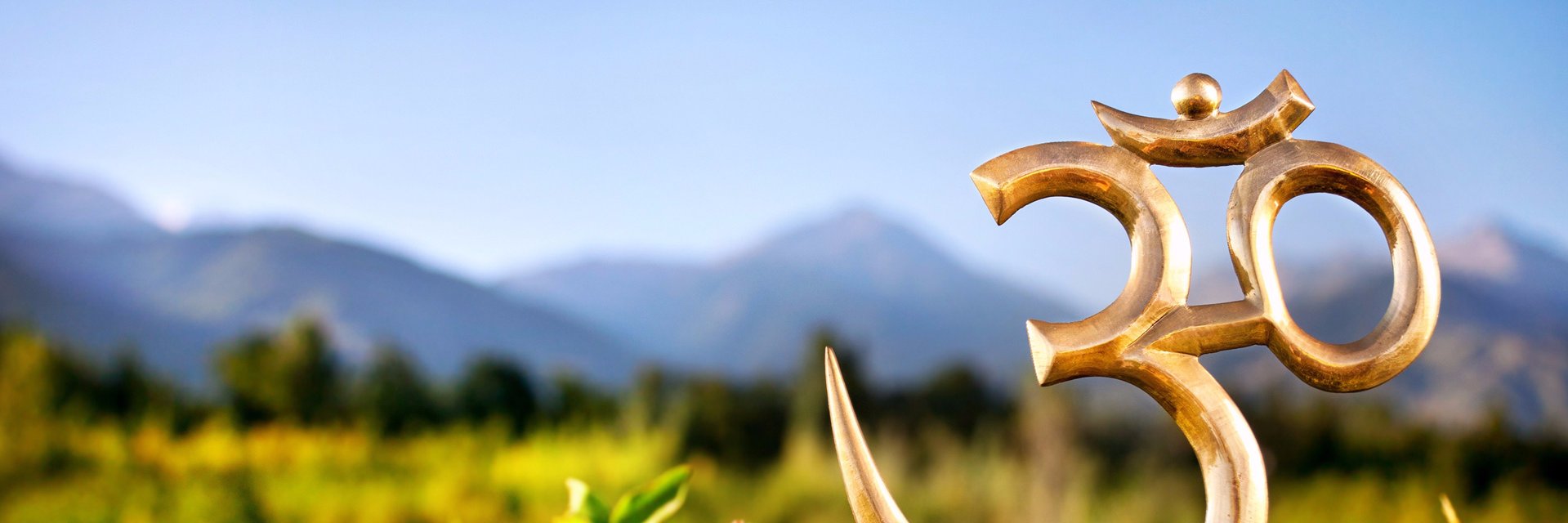 Himanshu Gupta banner