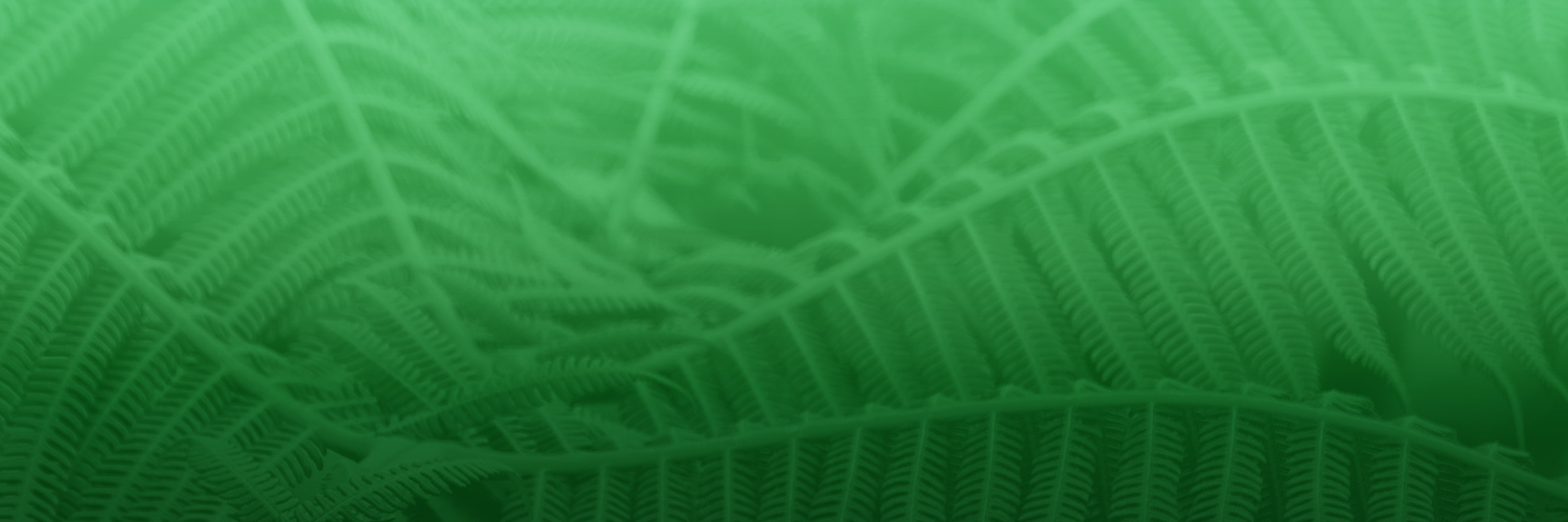 IJPB MDPI banner