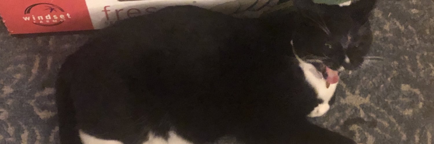 thegoodwitch's profile banner image