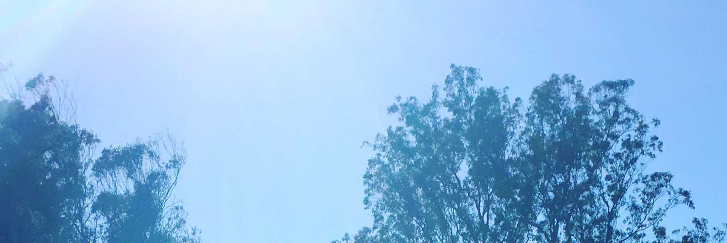 obisaacson's profile banner image