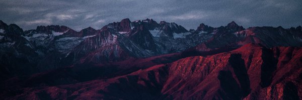 picocss Profile Banner