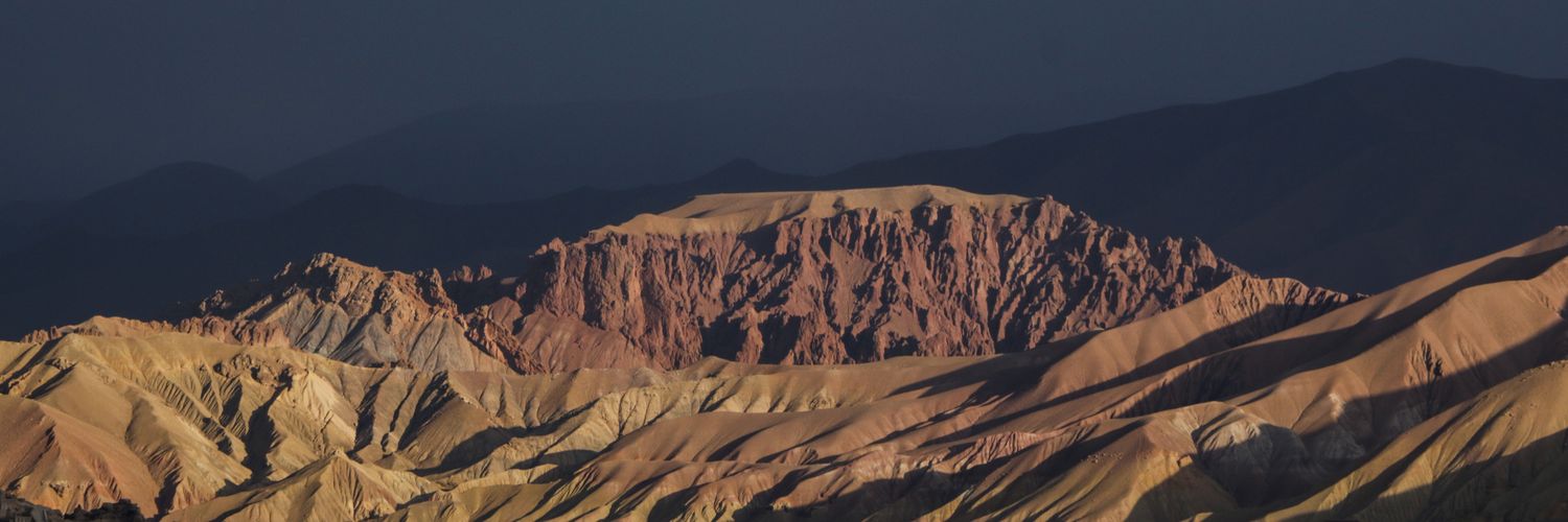 Zahra Mohammadi banner