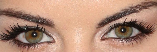 HallOfF54606327 Profile Banner