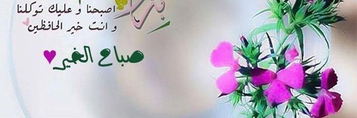 M_a3m1's profile banner image