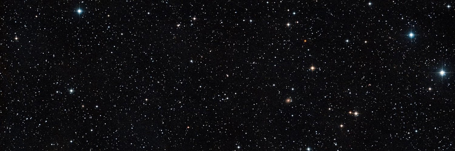 CryptoBastlir's profile banner image