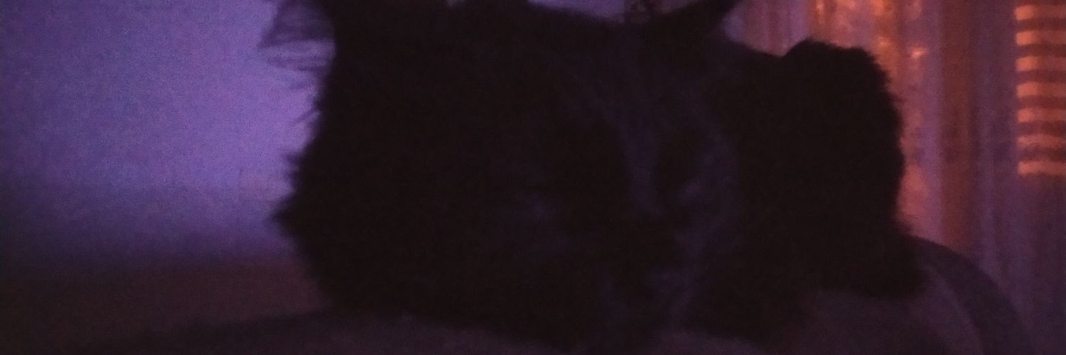 VitorFanhani's profile banner image