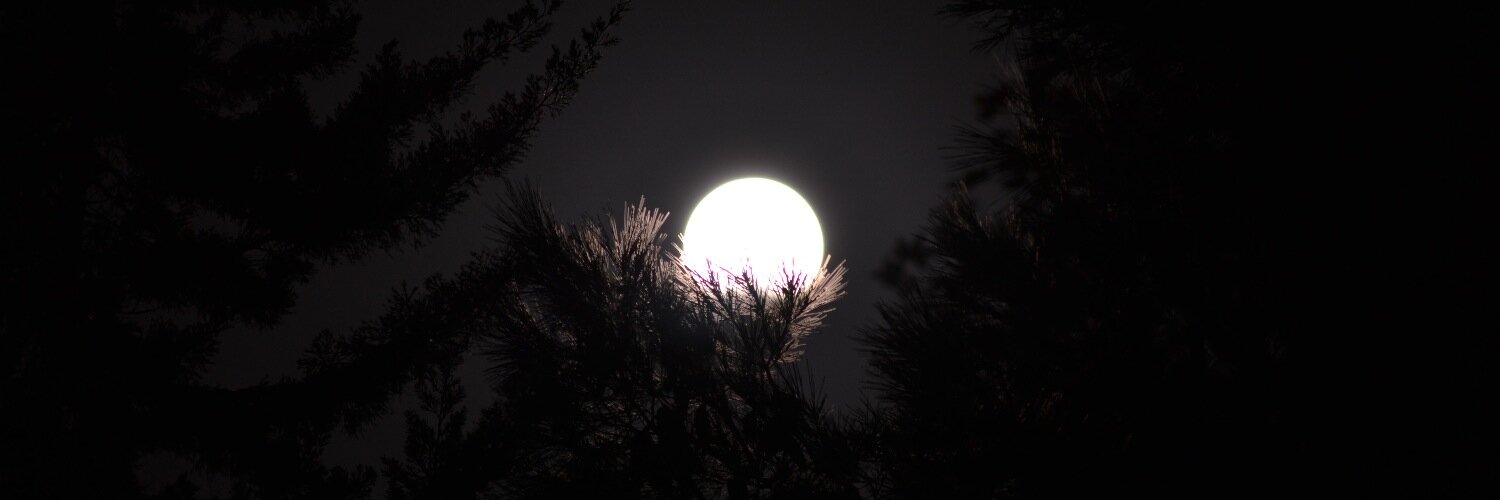 Mathias Cupitó banner